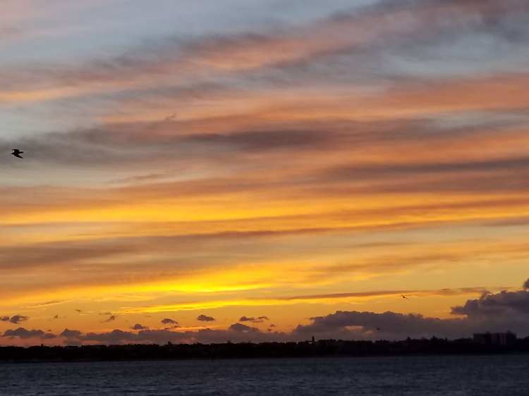 25C65030-27CE-4D39-B5CE-4E60671C6515