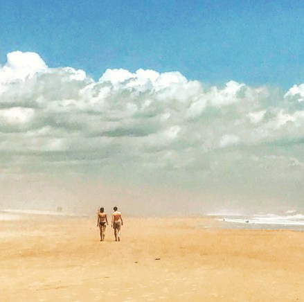 Dreamscape on the Beach, Pines on Fire Island