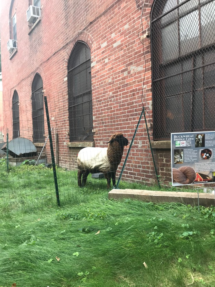 3BD37B9D-C037-4EBF-8150-E46B223507E4