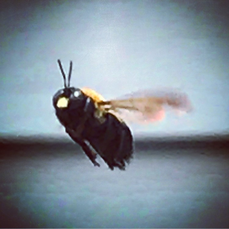 9B9531B3-9BF5-4C75-A890-B0F2612AC3F3