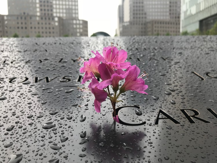 C00E8B87-1A65-4C13-BED5-EBA363118636