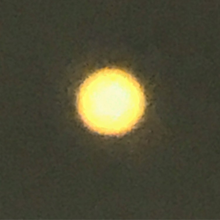 FA5D2EDD-8D82-4891-B1C9-8EF0AF119857