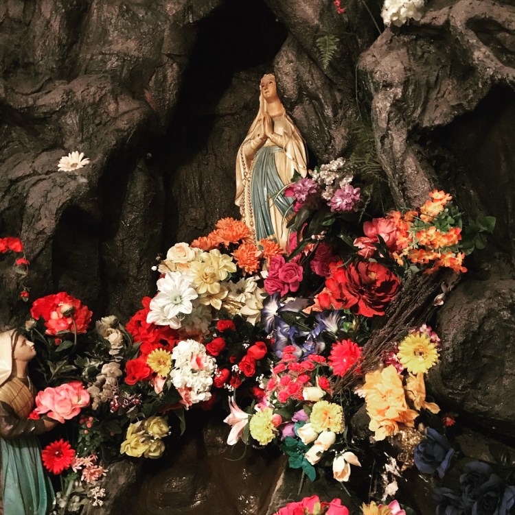 8AB2061B-886C-4A14-8A84-5EF20F3318C1