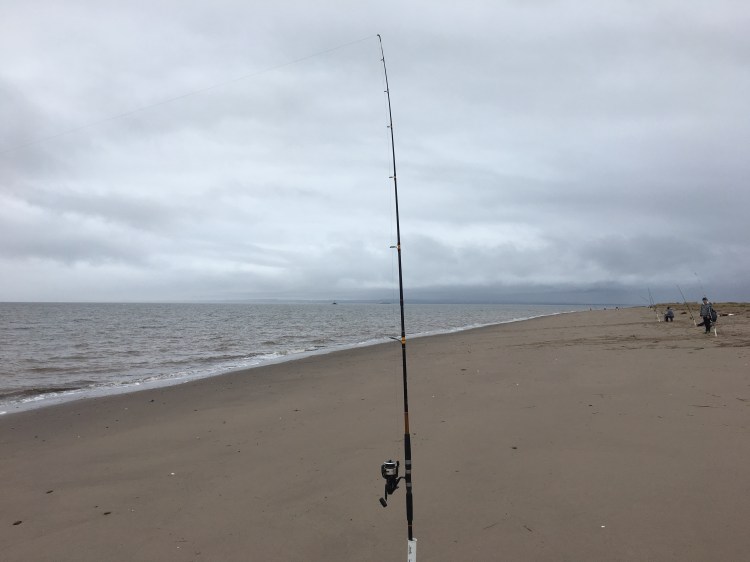 A07C6FC2-A763-4E20-BC97-758DBE7D2CBB