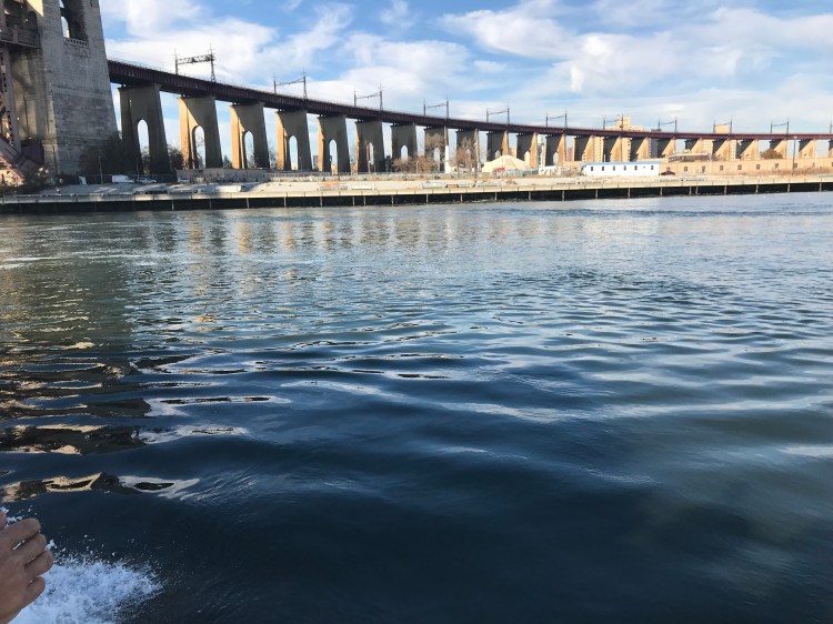 D93C01BE-4E8B-4D76-8FAE-8530DECCE604