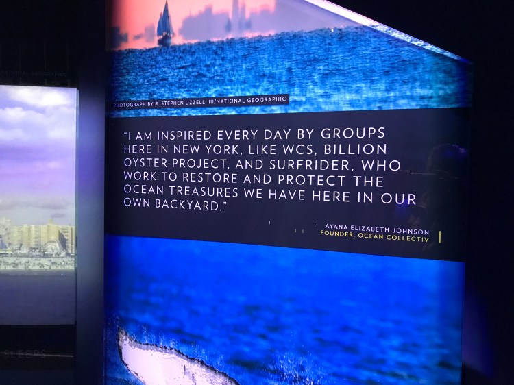 F5F9903E-EDAD-4D0C-ABD1-36E1DA96C9FC