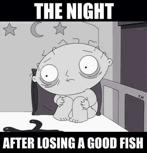 35CC5974-75BA-44E5-A587-6844EC795D1F