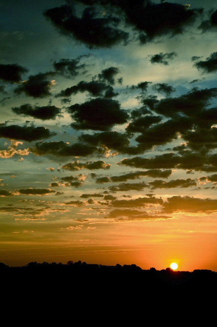 82638325-EDA6-4D20-B019-96B5B52B1F88