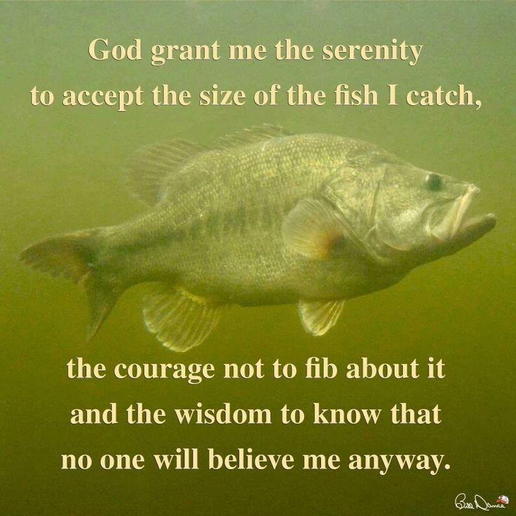 AEE258A3-E736-41DA-AA31-460DD3FD16E3