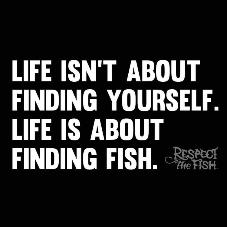 B4D14F3F-F897-455D-ACDF-C6BCFAC5396B