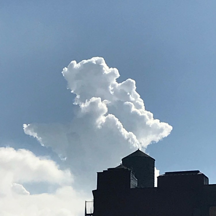 B559F423-77BC-449A-BFDD-83633093663B