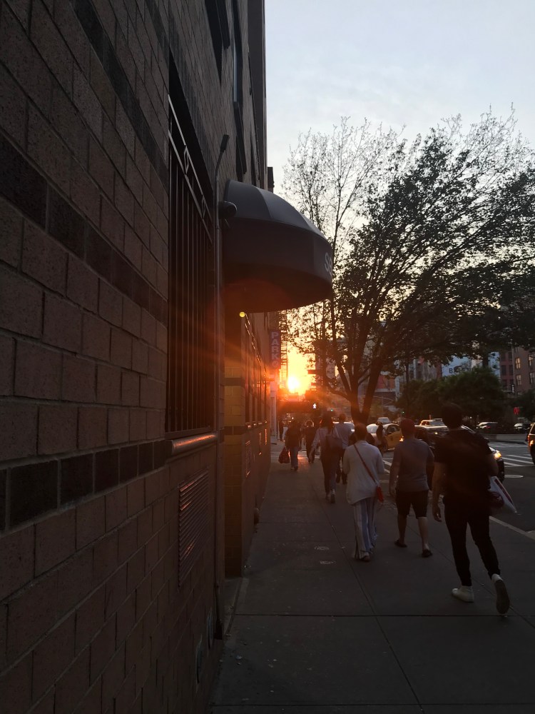 B81D26E5-76D1-4A1E-8E67-8D9611BA67A0