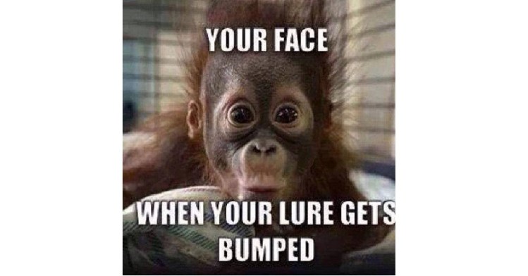 fishing meme2