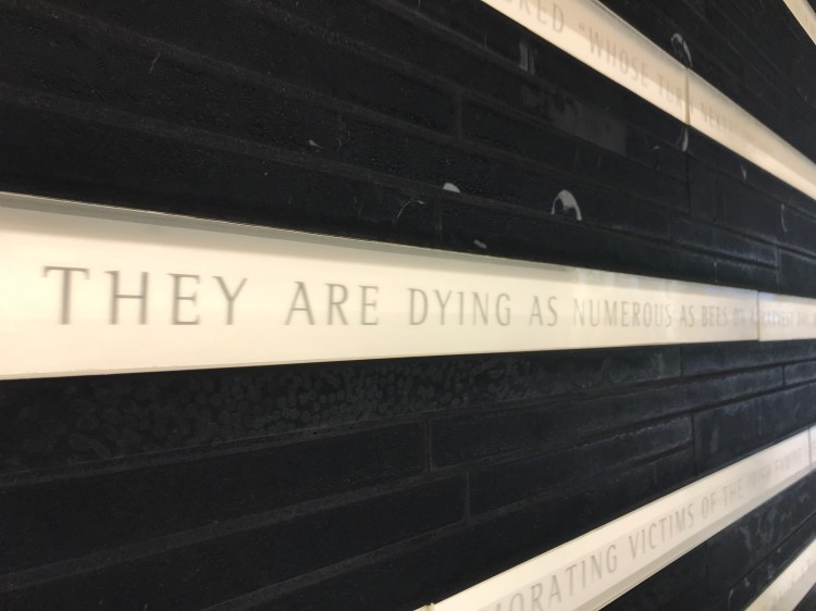 07806147-2AAE-4A4E-AAAF-21DB24BD43A0