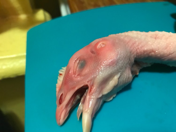 2222101F-40D5-4DE2-9485-942D94C58C26