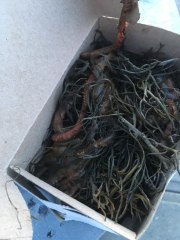 5EB7770F-9ED2-434B-9794-841023E28607