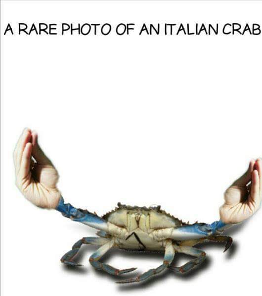 847A80EB-185C-4153-BA5F-8AF6243B0B35