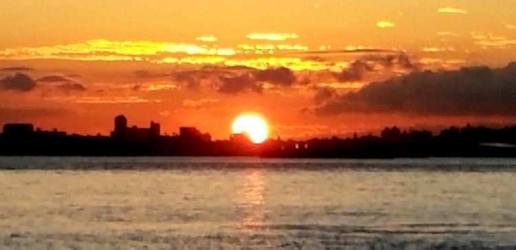 1C0CF3A4-5CFA-47F1-9297-E4BD43327F88