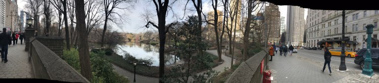 CBD43A92-3C94-403E-B2FA-08C7FB8C390B