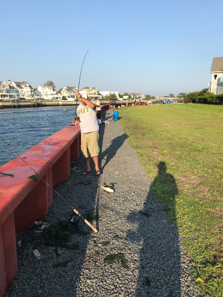 028544A6-BA17-4317-A0EF-CF81208E2D95