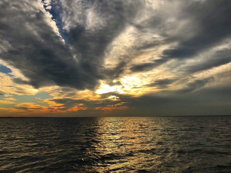 E55BA77A-42EE-42B8-B7C3-41E2F02F84B1