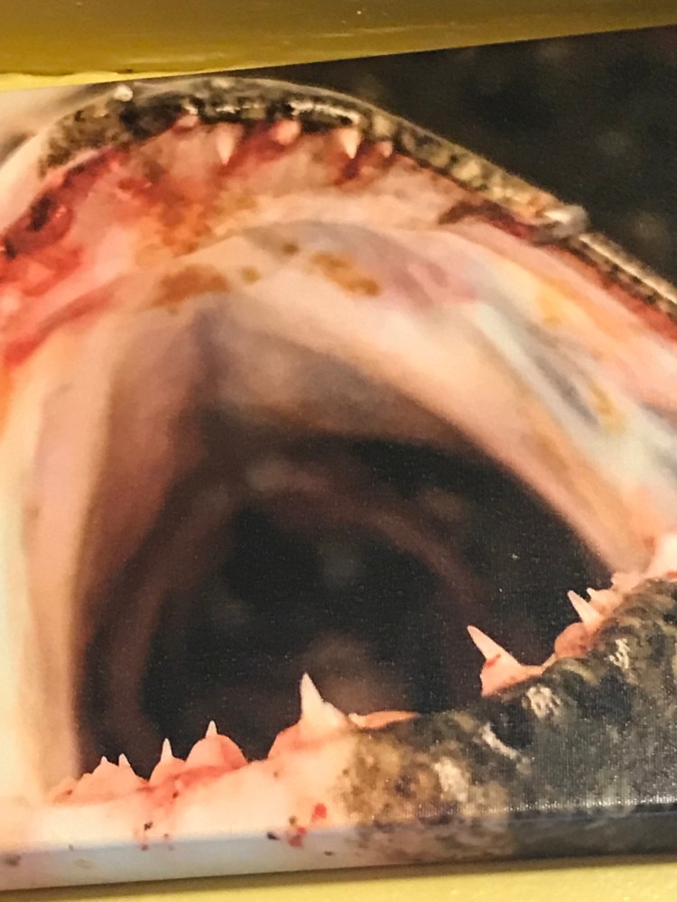 E7733DD9-2CEE-42AE-B24D-195809BFF624