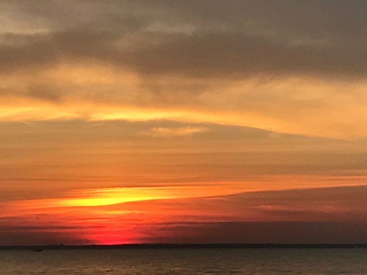 A450BFFE-F9A7-4121-BCF8-434A5480A1F3