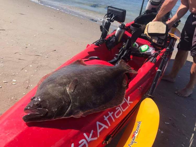 D50E02EF-F00A-4438-88B4-B578E0B0268D