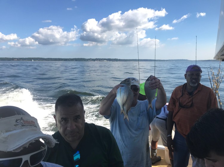 2410918C-18AD-4112-B6C5-A049F227487A