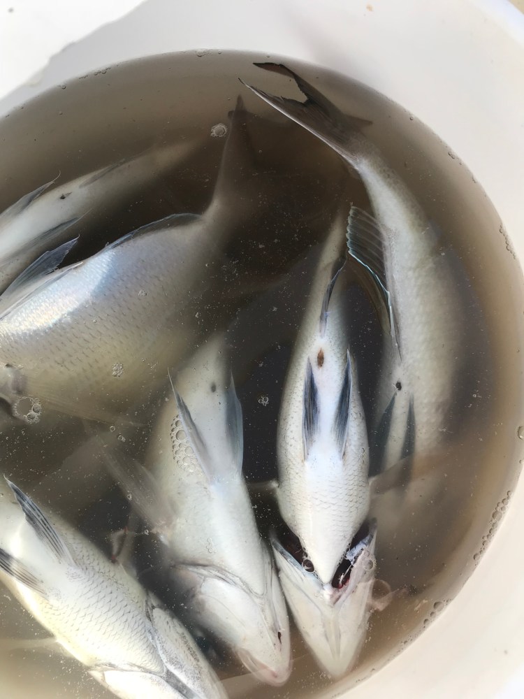 31D033BE-461A-4BF4-8350-0831D3F636FD