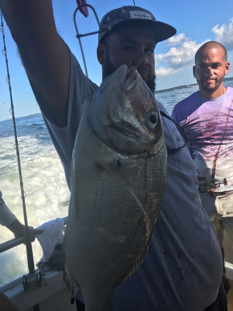 63D808CF-A40D-4644-B963-F3D85614BA92