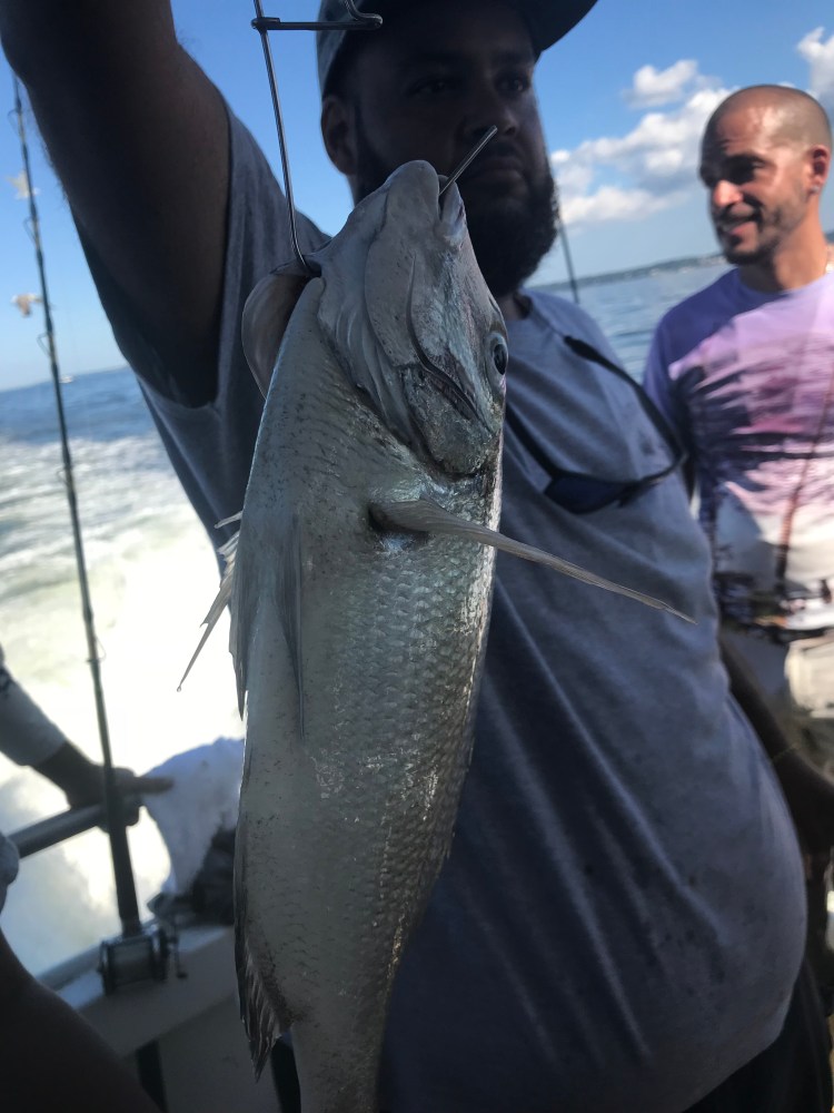 9FA6AFCD-0525-4BB2-A396-141126CBC4F5